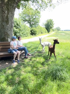 Freundinnen mit Alpakas auf der GeniusFarm