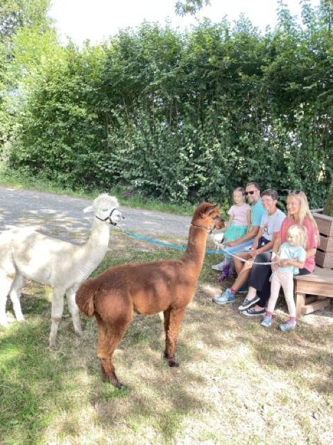 Familie auf Alpakawanderung